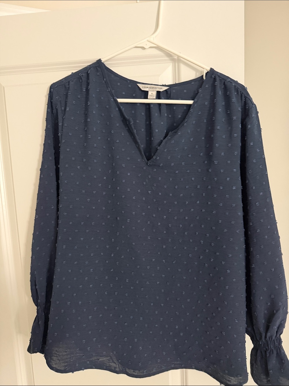Counterparts Navy Swiss Dot V-Neck Long Sleeve Blouse